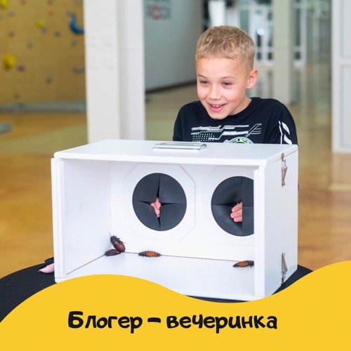 Шоу программа Блогер вечеринка на день рождения ребенка с угадыванием предметов на ощупь